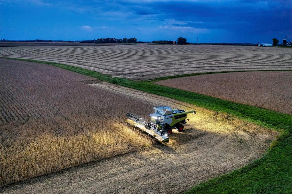 combine harvester on soybean field in evening